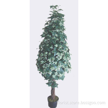 48&quot;Variegated English Ivy Tree x 576 Lvs